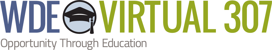 Virtual 307 logo